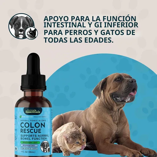 Vista 7 de Animal Essentials Colon Rescue Herbal GI Support para perros y gatos, 1 onza líquida, ayuda digestiva fabricada en Estados Unidos, mezcla