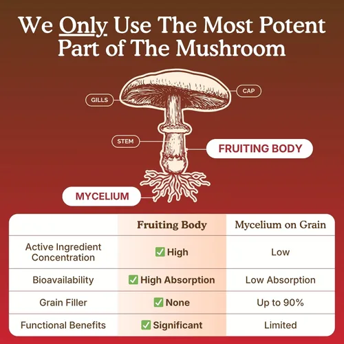 Vista 7 de Suplemento orgánico USDA de 10 hongos en polvo, enfoque y apoyo inmunológico 100% cuerpo fructífero, melena de león, cordyceps, hongo reishi