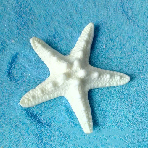 Vista 7 de Estatua de estrella de mar de resina para jardín de hadas, casa de muñecas, jardín al aire libre, decoración de pared para el hogar con temática