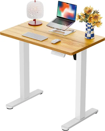Vista 40 de ErGear - Escritorio eléctrico de pie ajustable de 31 x 19 pulgadas, color negro Smooth Height Adjustment, 4 Memory Presets, One-Touch Control