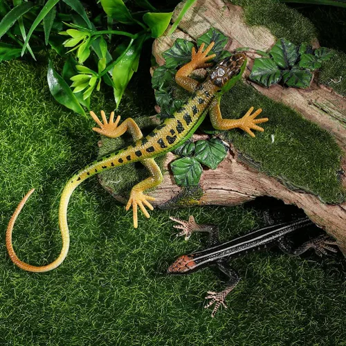 Vista 2 de Toddmomy Lagartos de plástico realista juguete de lagarto modelo artificial reptil lagarto figuras animales juguetes trucos broma para niños