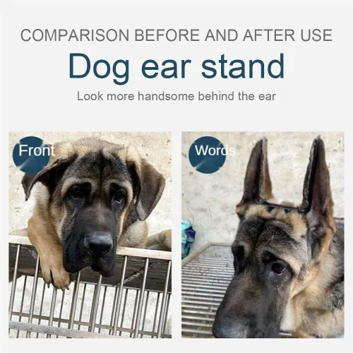 Vista 4 de Doberman - Herramienta de soporte para orejas de perro, kit de corrección fija vertical, soporte vertical de oreja de perro con cinta para perros