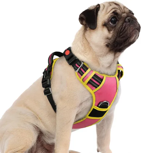 Vista 35 de Rabbitgoo - Arnés para perro de tamaño pequeño, sin tirones, 3 hebillas, fácil de poner y quitar Negro