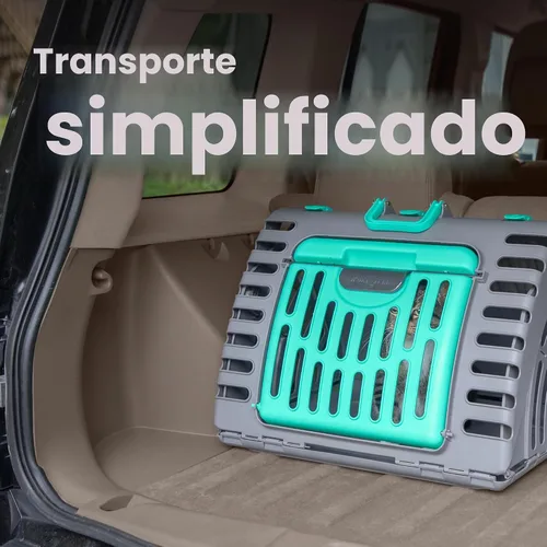 Vista 11 de SPORT PET Designs - Transportador plegable de viaje para gatos - Colección de transportador plegable de plástico con puerta frontal, cama