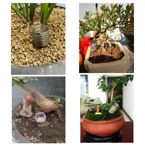 Vista 7 de Paquete de 10 cestas de fertilizantes para bonsái, contenedores de acero inoxidable para plantación de nutrientes, dispensador de riego de alimentos