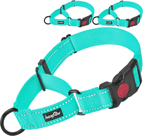 Vista 7 de haapaw Paquete de 2 collares de perro Martingale con hebilla de liberación rápida reflectantes para perros pequeños, medianos y grandes