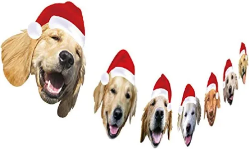 Vista 4 de Guirnalda de Navidad para gatos, diseño con cara de gato, decoración para colgar de Navidad, regalo de Navidad para amantes de los gatos