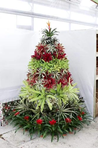 Vista 3 de Creative Displays - Estante redondo completo para árbol de Pascua de 106 FB, marco vertical independiente de jardín, ideal para flores de Pascua