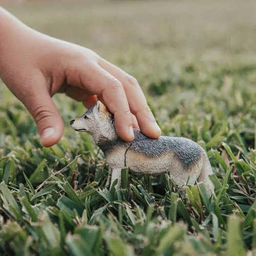 Vista 2 de Safari Ltd. Figura de lobo gris, figura realista de lobo de plástico de 4 pulgadas, juguete educativo para niños, niñas y niños a partir de 3 años