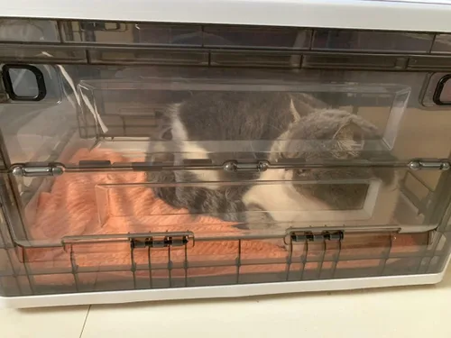 Vista 7 de Caja de nebulización, nebulizador para gatos, nebulizador para perros, incubadora de gatitos, unidad de calefacción no incluida, incubadora