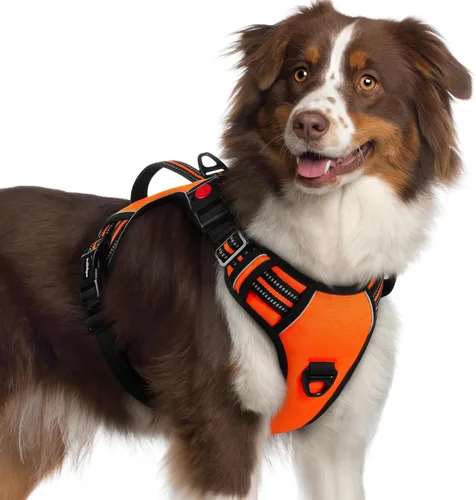 Vista 24 de rabbitgoo Arnés para perro de tamaño pequeño, arnés para mascotas sin tirones con mango acolchado suave, chaleco reflectante ajustable con 3