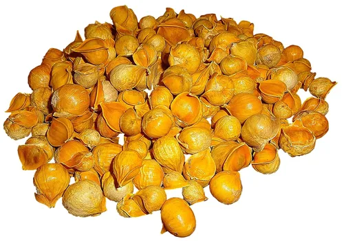 Vista 2 de Ajo Japonés (Ajo Japones) 100% Natural!! Pesos a granel (30 libras, 40 libras, 50 libras, 70 libras y 100 libras) (30 libras)