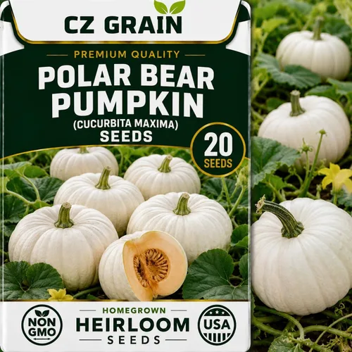 Vista 39 de CZ Grain Semillas para plantar, 40 pequeñas mezclas de calabaza