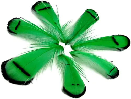 Vista 7 de Green Lady Amherst - Plumas artesanales de faisán, 1 docena