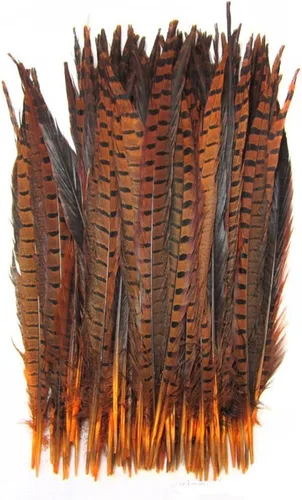 Vista 3 de CENFRY Decoración de plumas de faisán natural, 12-14 pulgadas, paquete de 10 (azul)