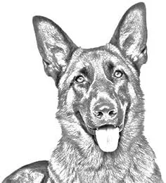 Vista 2 de Pastor alemán, colección de aretes con imágenes de Purebred Perros, regalo único