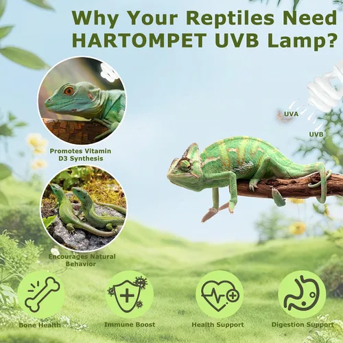 Vista 4 de UVB 5.0 Reptile Light13W, lámpara tropical fluorescente compacta, bombilla UVB de bobina para reptiles de selva tropical, luz para camaleones