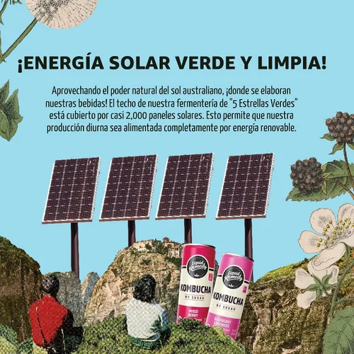 Vista 6 de Liquid Remedy Kombucha - Bebida orgánica sin azúcar, baja en calorías, té probiótico para la salud intestinal, paquete variado de favoritos
