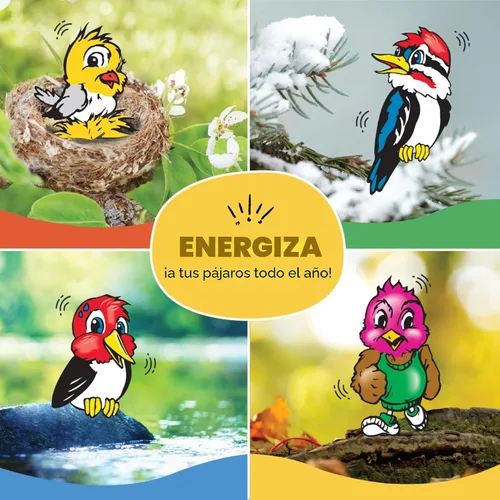 Vista 9 de C&S Wild Bird Woodpecker Seet Nuggets Mega Box, 8 libras