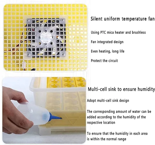 Vista 4 de Incubadora de huevos de 56 huevos de torneado automático de huevos Control automático de temperatura Control de ventilación rotativo automático