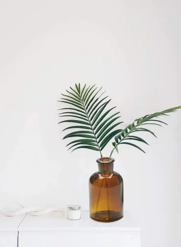 Vista 2 de Serene Spaces Living Jarrones de botella medicinal de ámbar oscuro, frascos de boticario, botellas de vidrio decorativas, centro de mesa