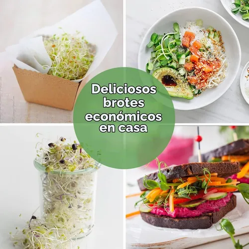Vista 5 de Kit de tarro de germinación de semillas con tarros Mason de boca ancha, tapas de brotes de pantalla de acero inoxidable de alta calidad, mangas