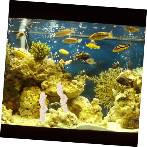 Vista 9 de Ipetboom Filtro de coral triturado para acuario para pecera de agua dulce Ph, 17.64 oz de material de filtración de medios de cerámica bio estanque