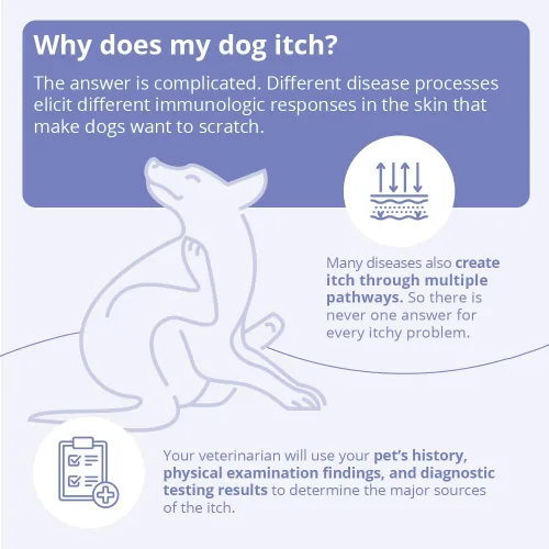 Vista 7 de Mal-A-Ket Plus TrizEDTA Acondicionador en aerosol para perros y gatos, 8 onzas