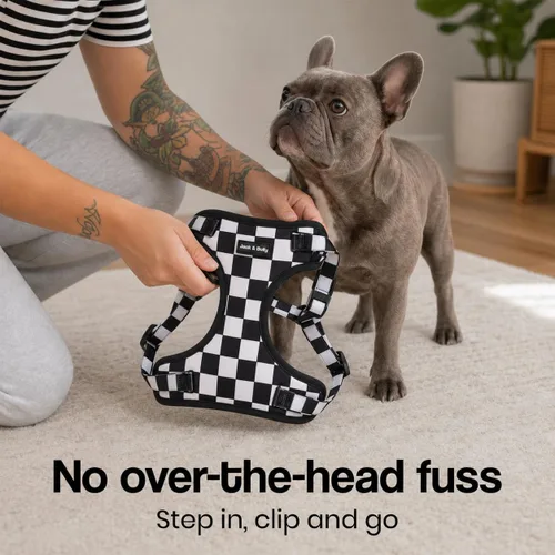Vista 6 de Jack & Bully Arnés para perro, chaleco sin tirones, de neopreno ajustable, suave con malla transpirable, para todo tipo de clima, bulldog francés