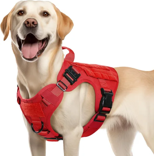 Vista 53 de rabbitgoo - Arnés táctico para perros pequeños, arnés resistente para mascotas con asa, chaleco de servicio sin tirones para razas pequeñas, chaleco