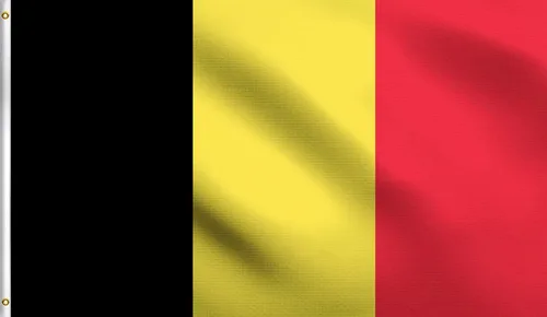 Vista 136 de DMSE - Bandera nacional beninesa beninesa de la República de África Occidental, 2 x 3 pies, 100 % poliéster, 100 % poliéster, resistente a los rayos