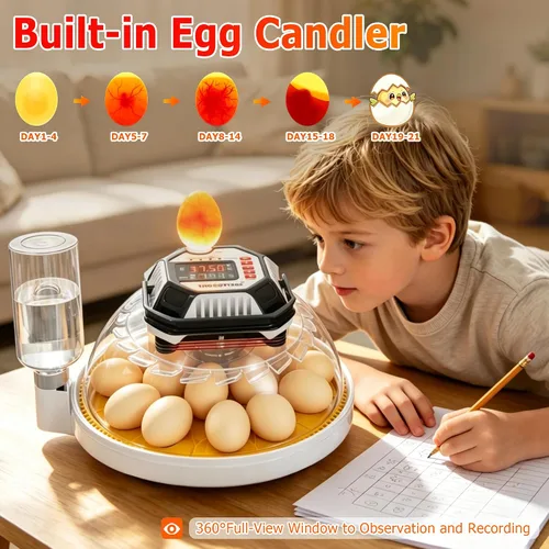 Vista 11 de Incubadoras de huevos de triocottage para incubar huevos, control de temperatura y humedad