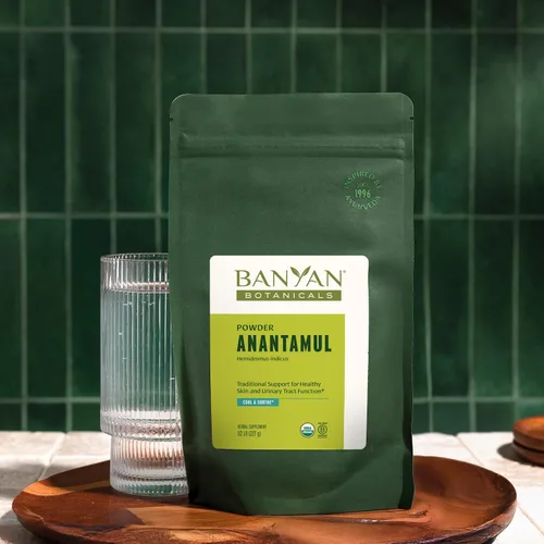 Vista 2 de Banyan Botanicals Anantamul Powder - Sarsaparilla india orgánica (Hemidesmus Indicus) - Suplemento orgánico refrescante y calmante para la piel*