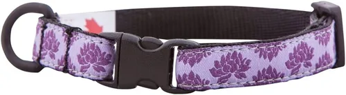 Vista 8 de RC Pets Kitty Breakaway - Collar para gatos, Cat-titude