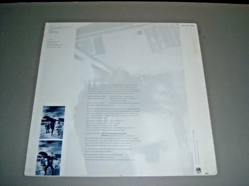 Vista 2 de The Dream of the Blue Turtles