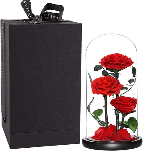 Vista 14 de Rosas preservadas, rosas negras en cúpula de cristal, medianas, flores preservadas para el día de la madre, regalos para mujeres Negro