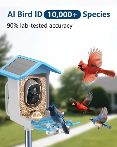 Vista 8 de Comedero inteligente para pájaros con cámara, video HD 2K, IA identifica especies de pájaros alimentado por energía solar, videos de captura