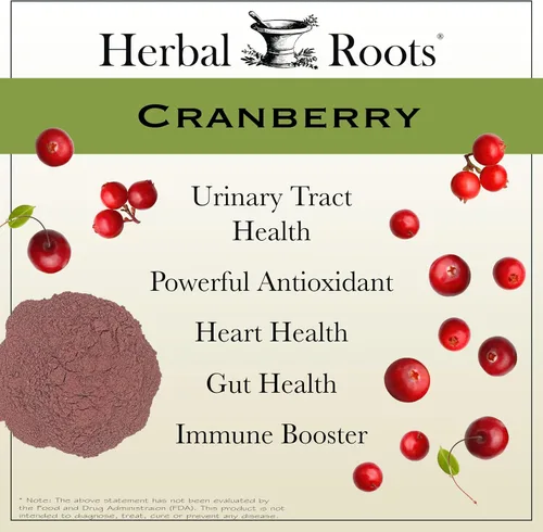 Vista 3 de Herbal Roots Pastillas de arándano extra fuertes para mujeres y hombres con ortiga orgánica Salud del tracto urinario 60 cápsulas veganas