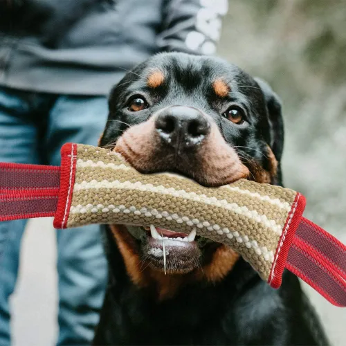 Vista 6 de Juguetes interactivos de agua para perros