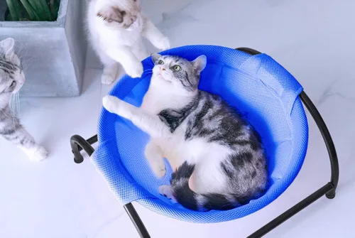 Vista 2 de MW Hamaca para gatos de pie independiente para gatos pequeños y grandes, lavable (azul)