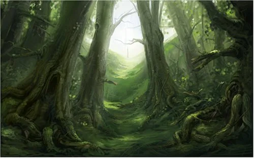 Vista 21 de Fable II Limited Collectors Edition