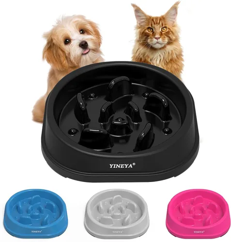 Vista 25 de YINEYA 2 cuencos de alimentación lenta antiasfixia para perros de tamaño pequeño, cuenco de alimentación lenta para gatos, suministros