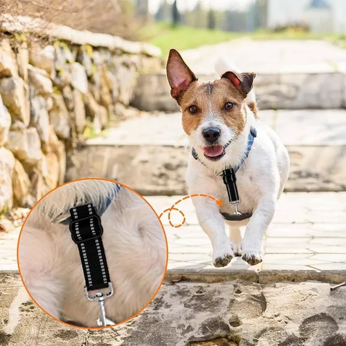 Vista 2 de Clip de seguridad para perro, clip de seguridad para collar de punta, 2 piezas de clip de seguridad para collar de perro, clip de seguridad