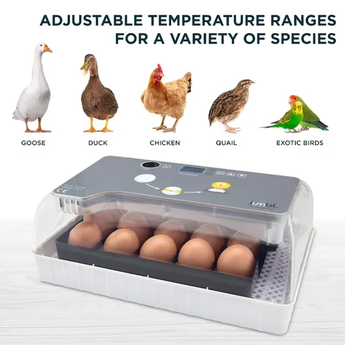 Vista 7 de Jumbl Incubadora de huevos transparente, máquina digital totalmente automática para eclosionar aves de corral, control de temperatura y girador