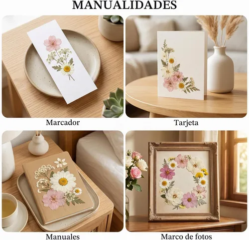 Vista 4 de NESCCI 83 piezas de flores secas para manualidades, flores prensadas secas