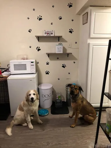 Vista 4 de SITAKE 76 calcomanías de decoración de perros, 40 calcomanías de huellas de perros y 36 calcomanías de huesos de perro, decoración de perro