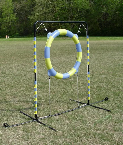 Vista 3 de Salto de neumáticos de agilidad (Hoop Jump)