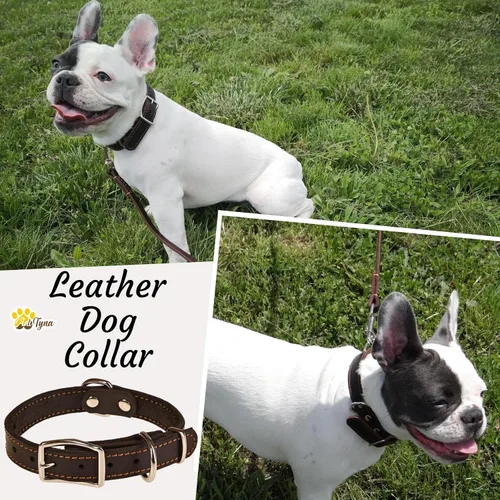 Vista 3 de Collar de perro de cuero negro resistente, collar de perro suave y fuerte para cachorros o razas pequeñas