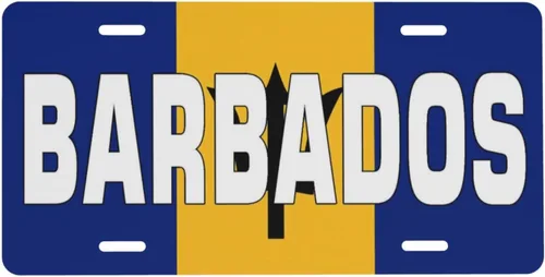 Vista 12 de Placa de matrícula patriótica con bandera americana, estrellas y rayas de aluminio, cubierta de placa de matrícula delantera para automóvil