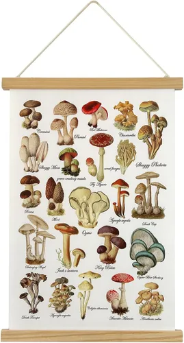 Vista 10 de XIAOAIKA Póster de hierbas aromáticas para pared, impresiones artísticas HD vibrantes y coloridas, estilo rústico de hierbas, póster para colgar